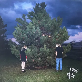 100 Gecs - 1000 Gecs