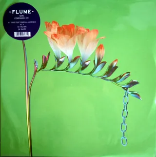Flume - Skin Companion EP I