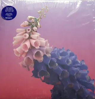Flume - Skin